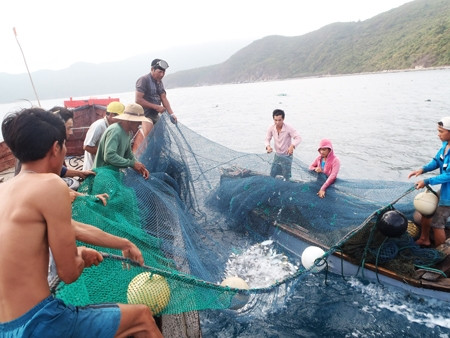 Ảnh minh họa Ảnh minh họa