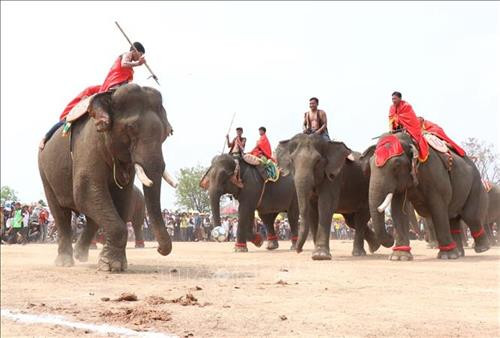Pha tranh chấp bóng trong phần thi voi đá bóng. Ảnh: Tuấn Anh - TTXVN Pha tranh chấp bóng trong phần thi voi đá bóng. Ảnh: Tuấn Anh - TTXVN Pha khống chế bóng tốt của “vận động viên voi” trong phần thi voi đá bóng. Ảnh: Tuấn Anh - TTXVN Phần thi voi chạy đua tại Hội voi. Ảnh: Tuấn Anh - TTXVN Voi tăng tốc cán đích. Ảnh: Tuấn Anh - TTXVN Voi tăng tốc cán đích. Ảnh: Tuấn Anh - TTXVN Voi tăng tốc cán đích. Ảnh: Tuấn Anh - TTXVN Voi dự tiệc “bufet” sau phần thi chạy đua. Ảnh: Tuấn Anh - TTXVN Pha tranh chấp bóng trong phần thi voi đá bóng. Ảnh: Tuấn Anh - TTXVN Pha tranh chấp bóng trong phần thi voi đá bóng. Ảnh: Tuấn Anh - TTXVN Pha khống chế bóng tốt của “vận động viên voi” trong phần thi voi đá bóng. Ảnh: Tuấn Anh - TTXVN Phần thi voi chạy đua tại Hội voi. Ảnh: Tuấn Anh - TTXVN Voi tăng tốc cán đích. Ảnh: Tuấn Anh - TTXVN Voi tăng tốc cán đích. Ảnh: Tuấn Anh - TTXVN Voi tăng tốc cán đích. Ảnh: Tuấn Anh - TTXVN Voi dự tiệc “bufet” sau phần thi chạy đua. Ảnh: Tuấn Anh - TTXVN