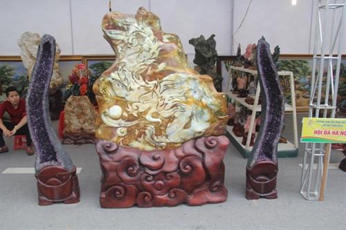 Festival sinh vật cảnh Thủ đô lần thứ nhất ảnh 10