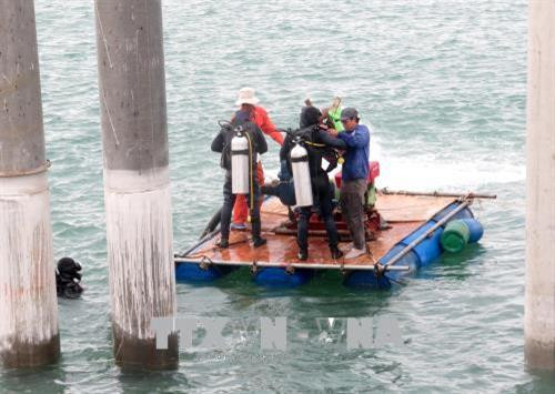 Các thợ lặn tiến hành cắm mốc vị trí sẽ khai quật. Ảnh: Phước Ngọc-TTXVN Các thợ lặn tiến hành cắm mốc vị trí sẽ khai quật. Ảnh: Phước Ngọc-TTXVN