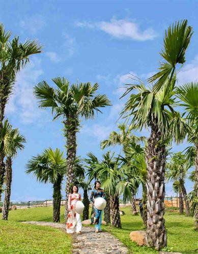 Nón làng Chuông - Nét đẹp văn hóa Việt ảnh 6 Nón làng Chuông - Nét đẹp văn hóa Việt ảnh 6