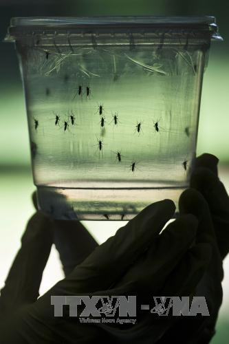 Tất cả các ca nhiễm virus đều vừa trở về từ các nước Mỹ Latinh