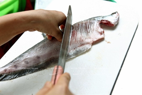 Cá thát lát tẩm gia vị ảnh 1 Cá thát lát tẩm gia vị ảnh 1