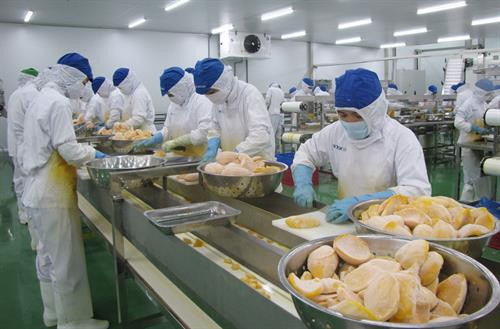 Sản xuất, chế biến trái cây tại nhà máy Công ty CP Lavifood (KCN Phú An Thạnh, huyện Bến Lức, tỉnh Long An). Nguồn: Báo Long An online Sản xuất, chế biến trái cây tại nhà máy Công ty CP Lavifood (KCN Phú An Thạnh, huyện Bến Lức, tỉnh Long An). Nguồn: Báo Long An online