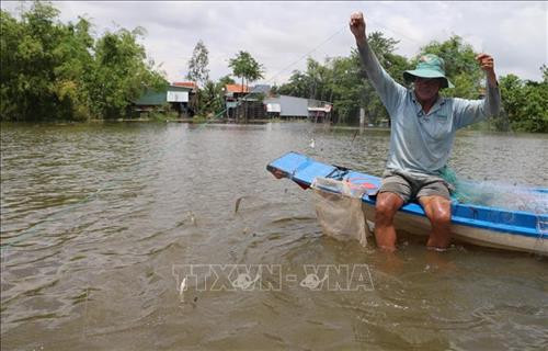Anh Nguyễn Văn Cơi ở xã Vĩnh Hậu (An Phú, An Giang) giăng lưới bắt cá linh