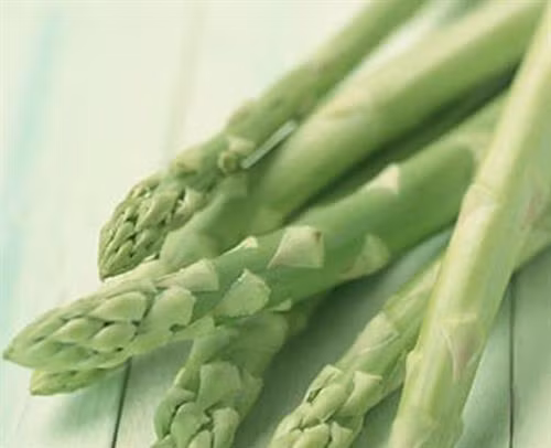 Công dụng chữa bệnh tuyệt vời của cây măng tây ảnh 1