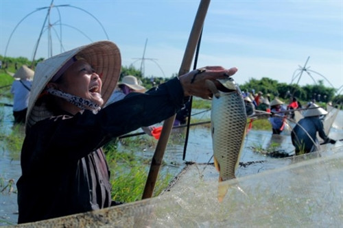 Niềm vui phấn khởi khi đánh được một con cá lớn Niềm vui phấn khởi khi đánh được một con cá lớn
