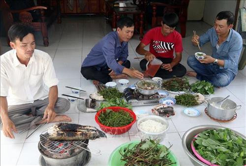 Du khách thưởng thức cá nướng, rau rừng tự bắt và hái tại Tiểu khu rừng tràm 34. Ảnh: Lê Sen - TTXVN