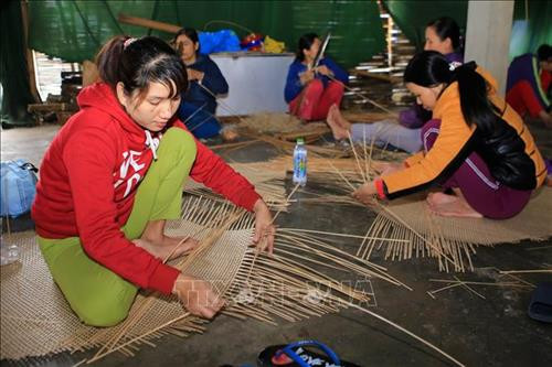 Các nghệ nhân làng nghề Bao La đang đan các sản phẩm mây, tre. Ảnh: Hồ Cầu-TTXVN Các nghệ nhân làng nghề Bao La đang đan các sản phẩm mây, tre. Ảnh: Hồ Cầu-TTXVN