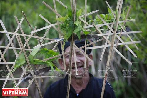 Cận cảnh mâm lễ vật cúng bản của người Cống. Mâm lễ vật này được chuẩn bị ở nhà thày mo. Thày mo làm lễ tại nhà trước khi lên vùng đất linh thiêng để làm lễ cúng bản. Người Cống rời nhà thày mo cùng lễ vật dâng lên hai vị thần nước và thần rừng. Ngoài đồ lễ được thày mo chuẩn bị, họ cũng mang theo gạo, gà và lợn để tế thần linh. Người Cống phát quang khu đất thiêng nơi có nguồn nước dẫn về bản. Trước khi làm lễ, trai bản dựng ngôi nhà nhỏ để đón thần linh về chứng kiến lễ cúng của họ. Thày mo đọc bài khấn đầu tiên trong lễ cúng để mời thần linh về cho dân bản làm lễ. Thày mo giết gà làm vật tế cầu vị thần linh che chở cho bản làng của họ được an lành. C huẩn bị đồ chín để cúng tạ ơn các vị thần. Trai bản giúp thày mo chuẩn bị lễ vật để làm lễ cúng. Thày mo rót rượu mời các vị thần sau khi thực hiện xong bài khấn. Xem bói từ gan là phần rất quan trọng của lễ cúng bản. Qua những đặc điểm của lá ga vừa tế thần, thày mo sẽ nói cho dân bản về kết quả của buổi lễ. Lễ cúng bản của người Cống chỉ dành cho đàn ông. Họ sẽ ăn uống theo cách thức cổ xưa như ông bà tổ tiên của họ ngay tại vùng đất thiêng của bản. Dấu hiệu cấm bản của người Cống. Từ lúc những “chiếc khiêng” này được cắm xuống, bản Nậm Pục sẽ nội bất xuất ngoại bất nhập. Cận cảnh mâm lễ vật cúng bản của người Cống. Mâm lễ vật này được chuẩn bị ở nhà thày mo. Thày mo làm lễ tại nhà trước khi lên vùng đất linh thiêng để làm lễ cúng bản. Người Cống rời nhà thày mo cùng lễ vật dâng lên hai vị thần nước và thần rừng. Ngoài đồ lễ được thày mo chuẩn bị, họ cũng mang theo gạo, gà và lợn để tế thần linh. Người Cống phát quang khu đất thiêng nơi có nguồn nước dẫn về bản. Trước khi làm lễ, trai bản dựng ngôi nhà nhỏ để đón thần linh về chứng kiến lễ cúng của họ. Thày mo đọc bài khấn đầu tiên trong lễ cúng để mời thần linh về cho dân bản làm lễ. Thày mo giết gà làm vật tế cầu vị thần linh che chở cho bản làng của họ được an lành. C huẩn bị đồ chín để cúng tạ ơn các vị thần. Trai bản giúp thày mo chuẩn bị lễ vật để làm lễ cúng. Thày mo rót rượu mời các vị thần sau khi thực hiện xong bài khấn. Xem bói từ gan là phần rất quan trọng của lễ cúng bản. Qua những đặc điểm của lá ga vừa tế thần, thày mo sẽ nói cho dân bản về kết quả của buổi lễ. Lễ cúng bản của người Cống chỉ dành cho đàn ông. Họ sẽ ăn uống theo cách thức cổ xưa như ông bà tổ tiên của họ ngay tại vùng đất thiêng của bản. Dấu hiệu cấm bản của người Cống. Từ lúc những “chiếc khiêng” này được cắm xuống, bản Nậm Pục sẽ nội bất xuất ngoại bất nhập.