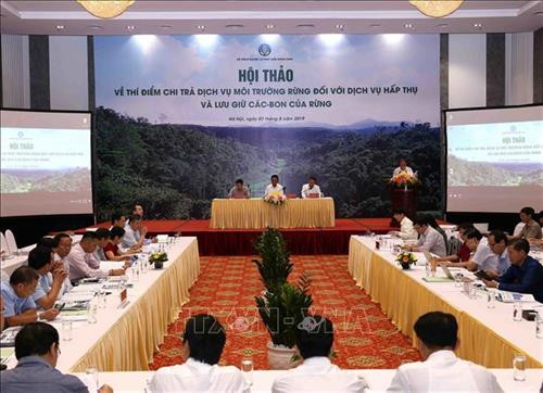 Thủ tướng Chính phủ đã đồng ý chủ trương thí điểm chi trả dịch vụ môi trường rừng đối với dịch vụ hấp thụ và lưu giữ các bon của rừng. Ảnh: Vũ Sinh - TTXVN Thủ tướng Chính phủ đã đồng ý chủ trương thí điểm chi trả dịch vụ môi trường rừng đối với dịch vụ hấp thụ và lưu giữ các bon của rừng. Ảnh: Vũ Sinh - TTXVN