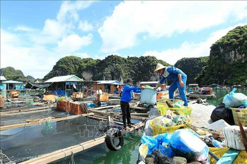 Ban quản lý các vịnh thuộc quần đảo Cát Bà thu gom rác của các gia đình nuôi lồng bè trên vịnh. Ảnh: An Đăng - TTXVN Ban quản lý các vịnh thuộc quần đảo Cát Bà thu gom rác của các gia đình nuôi lồng bè trên vịnh. Ảnh: An Đăng - TTXVN