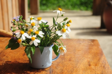 Nhà sàn này vốn là nhà văn hóa của bà con dân tộc thiểu số tại Mèo Vạc nên vào các ngày lễ, các hoạt động văn hóa vẫn diễn ra tại đây. Nhà sàn với tầng 1 là nơi ăn uống, trưng bày các sản vật của dân tộc Lô Lô và tầng hai là điểm ngủ nghỉ được chia cách bằng các rèm vải vừa lịch sự vừa kín đáo. Đằng trước là sân rất rộng. Sau khu nhà là bếp ăn và khu vệ sinh. Căn nhà sau khi sửa thêm nhiều bàn ghế và các vật dụng cần thiết. Tầng 1 trưng bày hai chiếc trống đồng cổ của dân tộc Lô Lô Bạn có thể ngồi uống cà phê ngắm cảnh trước hiên nhà. Hay thư giãn trong không gian thơm hương hoa hồng trên bờ rào đá lãng mạn. Các vị khách đến đây rất thích dùng cà phê ngoài sân và những buổi tiệc nướng BBQ ngắm trăng thanh. Bạn chỉ phải trả khoảng 100 nghìn đồng cho một chỗ ngủ, tắm giặt vệ sinh trong một ngày đêm. Tất cả đệm gối đều được làm đúng với hoa văn họa tiết của người Lô Lô. Từ Mèo Vạc sang Đồng Văn hay đi Lũng Phìn đều tiện đường Căn phòng nhỏ ngay tầng một. Nhà sàn này vốn là nhà văn hóa của bà con dân tộc thiểu số tại Mèo Vạc nên vào các ngày lễ, các hoạt động văn hóa vẫn diễn ra tại đây. Nhà sàn với tầng 1 là nơi ăn uống, trưng bày các sản vật của dân tộc Lô Lô và tầng hai là điểm ngủ nghỉ được chia cách bằng các rèm vải vừa lịch sự vừa kín đáo. Đằng trước là sân rất rộng. Sau khu nhà là bếp ăn và khu vệ sinh. Căn nhà sau khi sửa thêm nhiều bàn ghế và các vật dụng cần thiết. Tầng 1 trưng bày hai chiếc trống đồng cổ của dân tộc Lô Lô Bạn có thể ngồi uống cà phê ngắm cảnh trước hiên nhà. Hay thư giãn trong không gian thơm hương hoa hồng trên bờ rào đá lãng mạn. Các vị khách đến đây rất thích dùng cà phê ngoài sân và những buổi tiệc nướng BBQ ngắm trăng thanh. Bạn chỉ phải trả khoảng 100 nghìn đồng cho một chỗ ngủ, tắm giặt vệ sinh trong một ngày đêm. Tất cả đệm gối đều được làm đúng với hoa văn họa tiết của người Lô Lô. Từ Mèo Vạc sang Đồng Văn hay đi Lũng Phìn đều tiện đường Căn phòng nhỏ ngay tầng một.