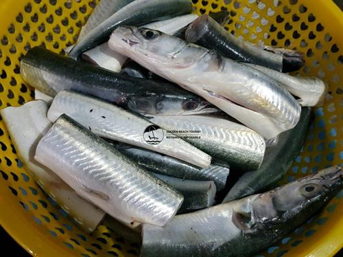 Điều thú vị về loài cá ăn ngon như cua ảnh 5