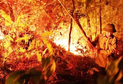 Lực lượng kiểm lâm dập lửa cứu rừng trong đêm ở núi Nầm, huyện Hương Sơn, tỉnh Hà Tĩnh. Ảnh: tuoitre.vn Lực lượng kiểm lâm dập lửa cứu rừng trong đêm ở núi Nầm, huyện Hương Sơn, tỉnh Hà Tĩnh. Ảnh: tuoitre.vn