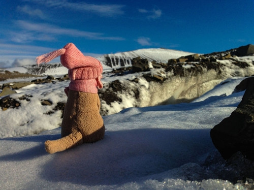 Kỷ lục băng tan ở Bắc Cực ảnh 12 Kỷ lục băng tan ở Bắc Cực ảnh 12