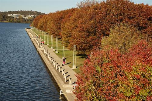 Những hàng cây lá đỏ trải dài thuộc quận Deakin, Canberra. Ảnh: Sao Băng - Pv TTXVN tại Australia Những hàng cây lá đỏ trong khu vực Nhà Quốc hội. Đạp xe hay tản bộ dưới tán cây lá đỏ, lấp lánh những tia nắng mặt trời sẽ là những trải nghiệm khó quên. Ảnh: Sao Băng - Pv TTXVN tại Australia Đường phố Canberra bừng sáng dưới nắng thu rực rỡ. Ảnh: Sao Băng - Pv TTXVN tại Australia Cây lá đổ vàng gần nhà Quốc hội Liên bang. Ảnh: Sao Băng - Pv TTXVN tại Australia Đường phố Canberra bừng sáng dưới nắng thu rực rỡ. Ảnh: Sao Băng - Pv TTXVN tại Australia Đường phố Canberra bừng sáng dưới nắng thu rực rỡ. Ảnh: Sao Băng - Pv TTXVN tại Australia Khu vực trung tâm Canberra nhuộm sắc đỏ. Ảnh: Sao Băng - Pv TTXVN tại Australia Những hàng cây lá đỏ trong khu vực Nhà Quốc hội. Đạp xe hay tản bộ dưới tán cây lá đỏ, lấp lánh những tia nắng mặt trời sẽ là những trải nghiệm khó quên. Tới Canberra mùa Thu, du khách khó có thể quên được một thủ đô tuy vắng nhưng đầy quyến rũ trong mùa thay lá. Ảnh: Sao Băng - Pv TTXVN tại Australia Hàng cây bên bờ hồ Burley Griffin chuyển lá vàng vào mùa Thu. Ảnh: Sao Băng - Pv TTXVN tại Australia Công viên Commonwealth sát bên hồ Burley Griffin. Tới đây vào mùa xuân tháng 9, du khách sẽ được thưởng ngoạn sắc hoa rực rỡ của Lễ hội hoa thường niên. Ảnh: Sao Băng - Pv TTXVN tại Australia Hàng cây bên bờ hồ Burley Griffin chuyển lá vàng vào mùa Thu. Ảnh: Sao Băng - Pv TTXVN tại Australia Hàng cây bên bờ hồ Burley Griffin chuyển lá đỏ vào mùa Thu. Khi mùa xuân tới sẽ nở hoa trắng tinh trước khi lá non xanh đâm chồi. Ảnh: Sao Băng - Pv TTXVN tại Australia Hàng cây bên bờ hồ Burley Griffin chuyển lá đỏ vào mùa Thu. Khi mùa xuân tới sẽ nở hoa trắng tinh trước khi lá non xanh đâm chồi. Ảnh: Sao Băng - Pv TTXVN tại Australia Những hàng cây lá đỏ trải dài thuộc quận Deakin, Canberra. Ảnh: Sao Băng - Pv TTXVN tại Australia Những hàng cây lá đỏ trong khu vực Nhà Quốc hội. Đạp xe hay tản bộ dưới tán cây lá đỏ, lấp lánh những tia nắng mặt trời sẽ là những trải nghiệm khó quên. Ảnh: Sao Băng - Pv TTXVN tại Australia Đường phố Canberra bừng sáng dưới nắng thu rực rỡ. Ảnh: Sao Băng - Pv TTXVN tại Australia Cây lá đổ vàng gần nhà Quốc hội Liên bang. Ảnh: Sao Băng - Pv TTXVN tại Australia Đường phố Canberra bừng sáng dưới nắng thu rực rỡ. Ảnh: Sao Băng - Pv TTXVN tại Australia Đường phố Canberra bừng sáng dưới nắng thu rực rỡ. Ảnh: Sao Băng - Pv TTXVN tại Australia Khu vực trung tâm Canberra nhuộm sắc đỏ. Ảnh: Sao Băng - Pv TTXVN tại Australia Những hàng cây lá đỏ trong khu vực Nhà Quốc hội. Đạp xe hay tản bộ dưới tán cây lá đỏ, lấp lánh những tia nắng mặt trời sẽ là những trải nghiệm khó quên. Tới Canberra mùa Thu, du khách khó có thể quên được một thủ đô tuy vắng nhưng đầy quyến rũ trong mùa thay lá. Ảnh: Sao Băng - Pv TTXVN tại Australia Hàng cây bên bờ hồ Burley Griffin chuyển lá vàng vào mùa Thu. Ảnh: Sao Băng - Pv TTXVN tại Australia Công viên Commonwealth sát bên hồ Burley Griffin. Tới đây vào mùa xuân tháng 9, du khách sẽ được thưởng ngoạn sắc hoa rực rỡ của Lễ hội hoa thường niên. Ảnh: Sao Băng - Pv TTXVN tại Australia Hàng cây bên bờ hồ Burley Griffin chuyển lá vàng vào mùa Thu. Ảnh: Sao Băng - Pv TTXVN tại Australia Hàng cây bên bờ hồ Burley Griffin chuyển lá đỏ vào mùa Thu. Khi mùa xuân tới sẽ nở hoa trắng tinh trước khi lá non xanh đâm chồi. Ảnh: Sao Băng - Pv TTXVN tại Australia Hàng cây bên bờ hồ Burley Griffin chuyển lá đỏ vào mùa Thu. Khi mùa xuân tới sẽ nở hoa trắng tinh trước khi lá non xanh đâm chồi. Ảnh: Sao Băng - Pv TTXVN tại Australia