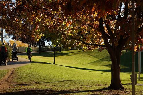 Những hàng cây lá đỏ trải dài thuộc quận Deakin, Canberra. Ảnh: Sao Băng - Pv TTXVN tại Australia Những hàng cây lá đỏ trong khu vực Nhà Quốc hội. Đạp xe hay tản bộ dưới tán cây lá đỏ, lấp lánh những tia nắng mặt trời sẽ là những trải nghiệm khó quên. Ảnh: Sao Băng - Pv TTXVN tại Australia Đường phố Canberra bừng sáng dưới nắng thu rực rỡ. Ảnh: Sao Băng - Pv TTXVN tại Australia Cây lá đổ vàng gần nhà Quốc hội Liên bang. Ảnh: Sao Băng - Pv TTXVN tại Australia Đường phố Canberra bừng sáng dưới nắng thu rực rỡ. Ảnh: Sao Băng - Pv TTXVN tại Australia Đường phố Canberra bừng sáng dưới nắng thu rực rỡ. Ảnh: Sao Băng - Pv TTXVN tại Australia Khu vực trung tâm Canberra nhuộm sắc đỏ. Ảnh: Sao Băng - Pv TTXVN tại Australia Những hàng cây lá đỏ trong khu vực Nhà Quốc hội. Đạp xe hay tản bộ dưới tán cây lá đỏ, lấp lánh những tia nắng mặt trời sẽ là những trải nghiệm khó quên. Tới Canberra mùa Thu, du khách khó có thể quên được một thủ đô tuy vắng nhưng đầy quyến rũ trong mùa thay lá. Ảnh: Sao Băng - Pv TTXVN tại Australia Hàng cây bên bờ hồ Burley Griffin chuyển lá vàng vào mùa Thu. Ảnh: Sao Băng - Pv TTXVN tại Australia Công viên Commonwealth sát bên hồ Burley Griffin. Tới đây vào mùa xuân tháng 9, du khách sẽ được thưởng ngoạn sắc hoa rực rỡ của Lễ hội hoa thường niên. Ảnh: Sao Băng - Pv TTXVN tại Australia Hàng cây bên bờ hồ Burley Griffin chuyển lá vàng vào mùa Thu. Ảnh: Sao Băng - Pv TTXVN tại Australia Hàng cây bên bờ hồ Burley Griffin chuyển lá đỏ vào mùa Thu. Khi mùa xuân tới sẽ nở hoa trắng tinh trước khi lá non xanh đâm chồi. Ảnh: Sao Băng - Pv TTXVN tại Australia Hàng cây bên bờ hồ Burley Griffin chuyển lá đỏ vào mùa Thu. Khi mùa xuân tới sẽ nở hoa trắng tinh trước khi lá non xanh đâm chồi. Ảnh: Sao Băng - Pv TTXVN tại Australia Những hàng cây lá đỏ trải dài thuộc quận Deakin, Canberra. Ảnh: Sao Băng - Pv TTXVN tại Australia Những hàng cây lá đỏ trong khu vực Nhà Quốc hội. Đạp xe hay tản bộ dưới tán cây lá đỏ, lấp lánh những tia nắng mặt trời sẽ là những trải nghiệm khó quên. Ảnh: Sao Băng - Pv TTXVN tại Australia Đường phố Canberra bừng sáng dưới nắng thu rực rỡ. Ảnh: Sao Băng - Pv TTXVN tại Australia Cây lá đổ vàng gần nhà Quốc hội Liên bang. Ảnh: Sao Băng - Pv TTXVN tại Australia Đường phố Canberra bừng sáng dưới nắng thu rực rỡ. Ảnh: Sao Băng - Pv TTXVN tại Australia Đường phố Canberra bừng sáng dưới nắng thu rực rỡ. Ảnh: Sao Băng - Pv TTXVN tại Australia Khu vực trung tâm Canberra nhuộm sắc đỏ. Ảnh: Sao Băng - Pv TTXVN tại Australia Những hàng cây lá đỏ trong khu vực Nhà Quốc hội. Đạp xe hay tản bộ dưới tán cây lá đỏ, lấp lánh những tia nắng mặt trời sẽ là những trải nghiệm khó quên. Tới Canberra mùa Thu, du khách khó có thể quên được một thủ đô tuy vắng nhưng đầy quyến rũ trong mùa thay lá. Ảnh: Sao Băng - Pv TTXVN tại Australia Hàng cây bên bờ hồ Burley Griffin chuyển lá vàng vào mùa Thu. Ảnh: Sao Băng - Pv TTXVN tại Australia Công viên Commonwealth sát bên hồ Burley Griffin. Tới đây vào mùa xuân tháng 9, du khách sẽ được thưởng ngoạn sắc hoa rực rỡ của Lễ hội hoa thường niên. Ảnh: Sao Băng - Pv TTXVN tại Australia Hàng cây bên bờ hồ Burley Griffin chuyển lá vàng vào mùa Thu. Ảnh: Sao Băng - Pv TTXVN tại Australia Hàng cây bên bờ hồ Burley Griffin chuyển lá đỏ vào mùa Thu. Khi mùa xuân tới sẽ nở hoa trắng tinh trước khi lá non xanh đâm chồi. Ảnh: Sao Băng - Pv TTXVN tại Australia Hàng cây bên bờ hồ Burley Griffin chuyển lá đỏ vào mùa Thu. Khi mùa xuân tới sẽ nở hoa trắng tinh trước khi lá non xanh đâm chồi. Ảnh: Sao Băng - Pv TTXVN tại Australia