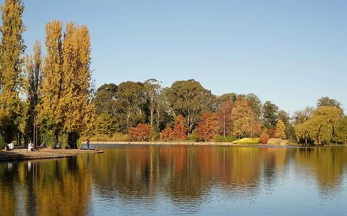 Những hàng cây lá đỏ trải dài thuộc quận Deakin, Canberra. Ảnh: Sao Băng - Pv TTXVN tại Australia Những hàng cây lá đỏ trong khu vực Nhà Quốc hội. Đạp xe hay tản bộ dưới tán cây lá đỏ, lấp lánh những tia nắng mặt trời sẽ là những trải nghiệm khó quên. Ảnh: Sao Băng - Pv TTXVN tại Australia Đường phố Canberra bừng sáng dưới nắng thu rực rỡ. Ảnh: Sao Băng - Pv TTXVN tại Australia Cây lá đổ vàng gần nhà Quốc hội Liên bang. Ảnh: Sao Băng - Pv TTXVN tại Australia Đường phố Canberra bừng sáng dưới nắng thu rực rỡ. Ảnh: Sao Băng - Pv TTXVN tại Australia Đường phố Canberra bừng sáng dưới nắng thu rực rỡ. Ảnh: Sao Băng - Pv TTXVN tại Australia Khu vực trung tâm Canberra nhuộm sắc đỏ. Ảnh: Sao Băng - Pv TTXVN tại Australia Những hàng cây lá đỏ trong khu vực Nhà Quốc hội. Đạp xe hay tản bộ dưới tán cây lá đỏ, lấp lánh những tia nắng mặt trời sẽ là những trải nghiệm khó quên. Tới Canberra mùa Thu, du khách khó có thể quên được một thủ đô tuy vắng nhưng đầy quyến rũ trong mùa thay lá. Ảnh: Sao Băng - Pv TTXVN tại Australia Hàng cây bên bờ hồ Burley Griffin chuyển lá vàng vào mùa Thu. Ảnh: Sao Băng - Pv TTXVN tại Australia Công viên Commonwealth sát bên hồ Burley Griffin. Tới đây vào mùa xuân tháng 9, du khách sẽ được thưởng ngoạn sắc hoa rực rỡ của Lễ hội hoa thường niên. Ảnh: Sao Băng - Pv TTXVN tại Australia Hàng cây bên bờ hồ Burley Griffin chuyển lá vàng vào mùa Thu. Ảnh: Sao Băng - Pv TTXVN tại Australia Hàng cây bên bờ hồ Burley Griffin chuyển lá đỏ vào mùa Thu. Khi mùa xuân tới sẽ nở hoa trắng tinh trước khi lá non xanh đâm chồi. Ảnh: Sao Băng - Pv TTXVN tại Australia Hàng cây bên bờ hồ Burley Griffin chuyển lá đỏ vào mùa Thu. Khi mùa xuân tới sẽ nở hoa trắng tinh trước khi lá non xanh đâm chồi. Ảnh: Sao Băng - Pv TTXVN tại Australia Những hàng cây lá đỏ trải dài thuộc quận Deakin, Canberra. Ảnh: Sao Băng - Pv TTXVN tại Australia Những hàng cây lá đỏ trong khu vực Nhà Quốc hội. Đạp xe hay tản bộ dưới tán cây lá đỏ, lấp lánh những tia nắng mặt trời sẽ là những trải nghiệm khó quên. Ảnh: Sao Băng - Pv TTXVN tại Australia Đường phố Canberra bừng sáng dưới nắng thu rực rỡ. Ảnh: Sao Băng - Pv TTXVN tại Australia Cây lá đổ vàng gần nhà Quốc hội Liên bang. Ảnh: Sao Băng - Pv TTXVN tại Australia Đường phố Canberra bừng sáng dưới nắng thu rực rỡ. Ảnh: Sao Băng - Pv TTXVN tại Australia Đường phố Canberra bừng sáng dưới nắng thu rực rỡ. Ảnh: Sao Băng - Pv TTXVN tại Australia Khu vực trung tâm Canberra nhuộm sắc đỏ. Ảnh: Sao Băng - Pv TTXVN tại Australia Những hàng cây lá đỏ trong khu vực Nhà Quốc hội. Đạp xe hay tản bộ dưới tán cây lá đỏ, lấp lánh những tia nắng mặt trời sẽ là những trải nghiệm khó quên. Tới Canberra mùa Thu, du khách khó có thể quên được một thủ đô tuy vắng nhưng đầy quyến rũ trong mùa thay lá. Ảnh: Sao Băng - Pv TTXVN tại Australia Hàng cây bên bờ hồ Burley Griffin chuyển lá vàng vào mùa Thu. Ảnh: Sao Băng - Pv TTXVN tại Australia Công viên Commonwealth sát bên hồ Burley Griffin. Tới đây vào mùa xuân tháng 9, du khách sẽ được thưởng ngoạn sắc hoa rực rỡ của Lễ hội hoa thường niên. Ảnh: Sao Băng - Pv TTXVN tại Australia Hàng cây bên bờ hồ Burley Griffin chuyển lá vàng vào mùa Thu. Ảnh: Sao Băng - Pv TTXVN tại Australia Hàng cây bên bờ hồ Burley Griffin chuyển lá đỏ vào mùa Thu. Khi mùa xuân tới sẽ nở hoa trắng tinh trước khi lá non xanh đâm chồi. Ảnh: Sao Băng - Pv TTXVN tại Australia Hàng cây bên bờ hồ Burley Griffin chuyển lá đỏ vào mùa Thu. Khi mùa xuân tới sẽ nở hoa trắng tinh trước khi lá non xanh đâm chồi. Ảnh: Sao Băng - Pv TTXVN tại Australia