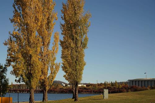 Canberra mùa Thu ảnh 14 Canberra mùa Thu ảnh 14