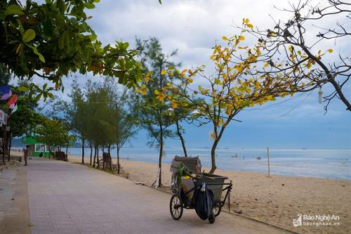 Cửa Lò chớm thu ảnh 2 Cửa Lò chớm thu ảnh 2