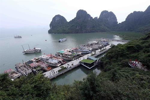 Khu neo đậu tàu du lịch vào hang Đầu Gỗ. Ảnh: Quang Quyết - TTXVN Khu neo đậu tàu du lịch vào hang Đầu Gỗ. Ảnh: Quang Quyết - TTXVN