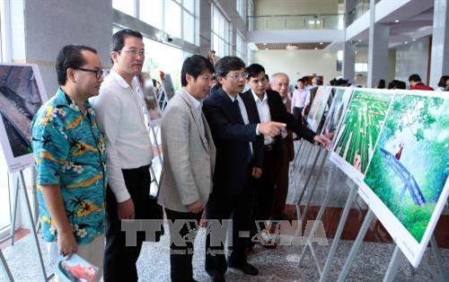 Khách tham quan triển lãm. Ảnh: Phạm Kiên - TTXVN
