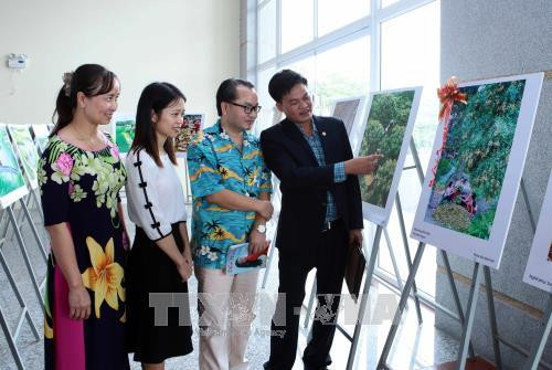 Khách tham quan triển lãm. Ảnh: Phạm Kiên - TTXVN