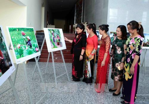 Khách tham quan triển lãm. Ảnh: Phạm Kiên - TTXVN