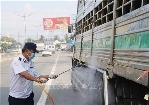 Lực lượng chức năng tiến hành phun thuốc khử trùng xe vận chuyển lợn. Ảnh: Nam Thái - TTXVN Lực lượng chức năng tiến hành phun thuốc khử trùng xe vận chuyển lợn. Ảnh: Nam Thái - TTXVN