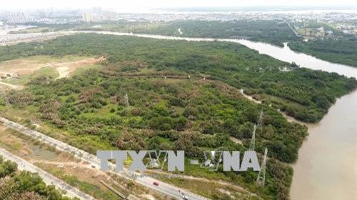 Khu đất hơn 32 ha được Công ty Tân Thuận chuyển nhượng không đúng quy định cho Công ty Quốc Cường Gia Lai. Ảnh: TTXVN phát Khu đất hơn 32 ha được Công ty Tân Thuận chuyển nhượng không đúng quy định cho Công ty Quốc Cường Gia Lai. Ảnh: TTXVN phát