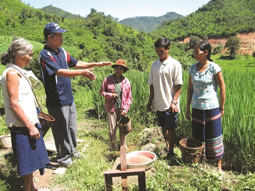 Hướng dẫn đồng bào ở làng Đăk Brỏi, xã Đăk Nhoong chăm sóc lúa