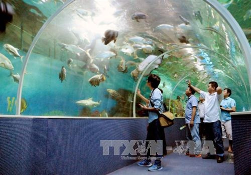 Khu liên hợp nghỉ dưỡng – giải trí Vinpearl Phú Quốc thuộc Tập đoàn Vingroup có tổng diện tích trên 300ha; quần thể nghỉ dưỡng – giải trí 5 sao theo tiêu chuẩn quốc tế đầu tiên và quy mô lớn nhất trên đảo. Ảnh: An Hiếu – TTXVN. Khu liên hợp nghỉ dưỡng – giải trí Vinpearl Phú Quốc thuộc Tập đoàn Vingroup có tổng diện tích trên 300ha; quần thể nghỉ dưỡng – giải trí 5 sao theo tiêu chuẩn quốc tế đầu tiên và quy mô lớn nhất trên đảo. Ảnh: An Hiếu – TTXVN.