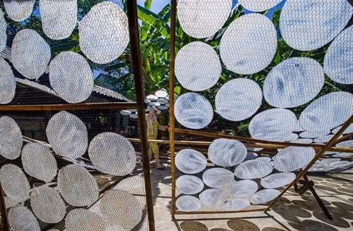 Phơi bánh nơi thoáng mát