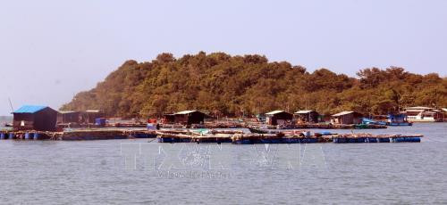 Hàng trăm lồng bè nuôi cá trên biển ở xã đảo Tiên Hải. Ảnh: Lê Huy Hải - TTXVN Hàng trăm lồng bè nuôi cá trên biển ở xã đảo Tiên Hải. Ảnh: Lê Huy Hải - TTXVN