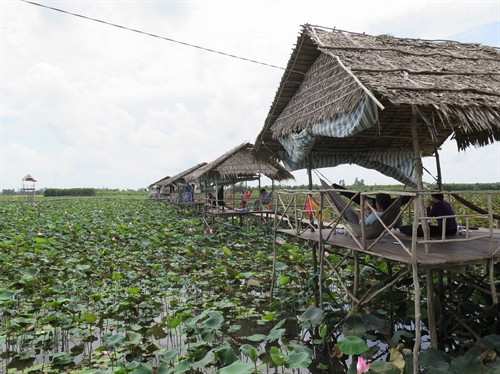 Khách du lịch nghỉ ngơi tại khu du lịch sinh thái sen - cá, đồng sen Gò Tháp, huyện Tháp Mười, tỉnh Đồng Tháp. Khách du lịch nghỉ ngơi tại khu du lịch sinh thái sen - cá, đồng sen Gò Tháp, huyện Tháp Mười, tỉnh Đồng Tháp.