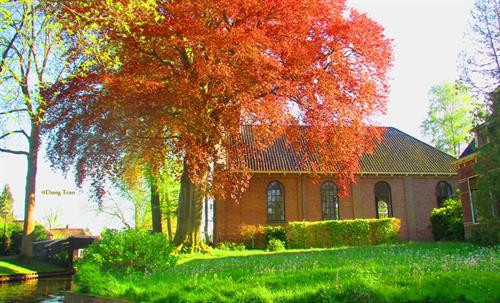 Những trải nghiệm thú vị ở Hà Lan - đất nước thiên đường ảnh 13