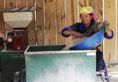 Được vay 20 triệu đồng vốn, gia đình chị Lý Thị Xu, người dân tộc Mông ở bản Dế Xu Phình A, xã Dế Xu Phình đã đầu tư mua máy xay xát phục vụ bà con trong bản.