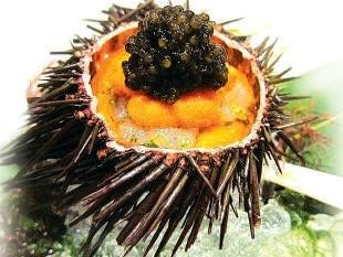 Đặc sản nhum biển Lý Sơn ảnh 2