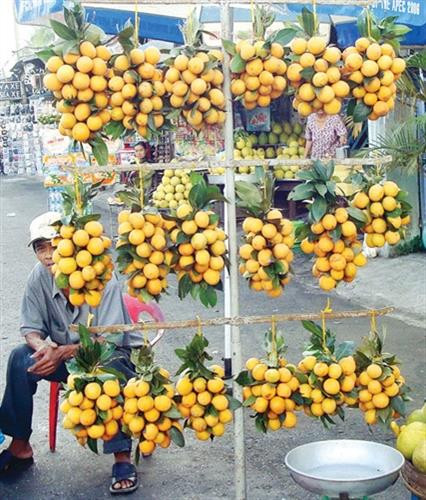 Thừa Thiên - Huế được mùa thanh trà và đầu ra ổn định ảnh 2