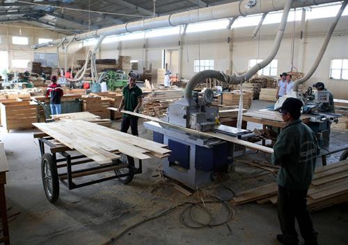 Chế biến gỗ tại Công ty TNHH Khai thác, Chế biến lâm sản Đà Lạt. Ảnh: Vũ Sinh - TTXVN Chế biến gỗ tại Công ty TNHH Khai thác, Chế biến lâm sản Đà Lạt. Ảnh: Vũ Sinh - TTXVN