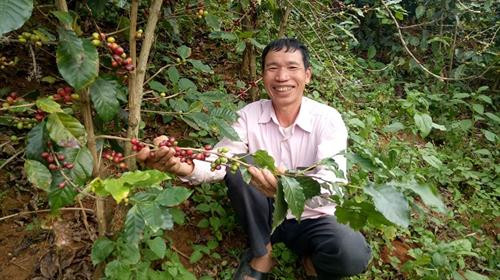 Hiện nay, xã Hua La đã có mô hình liên kết sản xuất gắn với tiêu thụ nông sản chủ lực ( cây cà phê) của HTX cà phê Bích Thao và Công ty cổ phần Nasan Việt Nam.Ảnh : danviet.vn Hiện nay, xã Hua La đã có mô hình liên kết sản xuất gắn với tiêu thụ nông sản chủ lực ( cây cà phê) của HTX cà phê Bích Thao và Công ty cổ phần Nasan Việt Nam.Ảnh : danviet.vn