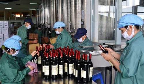 Vang Đà Lạt ngày càng khẳng định mình trong thời kỳ hội nhập kinh tế. Ảnh : baolamdong.vn Vang Đà Lạt ngày càng khẳng định mình trong thời kỳ hội nhập kinh tế. Ảnh : baolamdong.vn