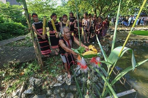 Già làng thực hiện nghi thức cúng thần nước trước khi lấy nước tại con nước đầu làng. Ảnh: Trọng Đạt - TTXVN