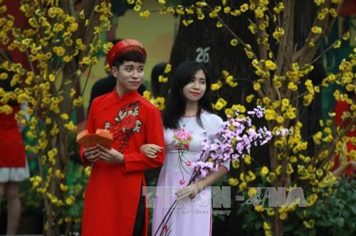 Phố Ông đồ thu hút đông đảo các gia đình đến tham quan. Ảnh: Phương Vy-TTXVN.