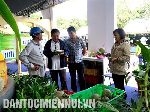 Người tiêu dùng chọn mua sản phẩm dưa lưới công nghệ cao của Trung tâm sinh học Thành phố Hồ Chí Minh.