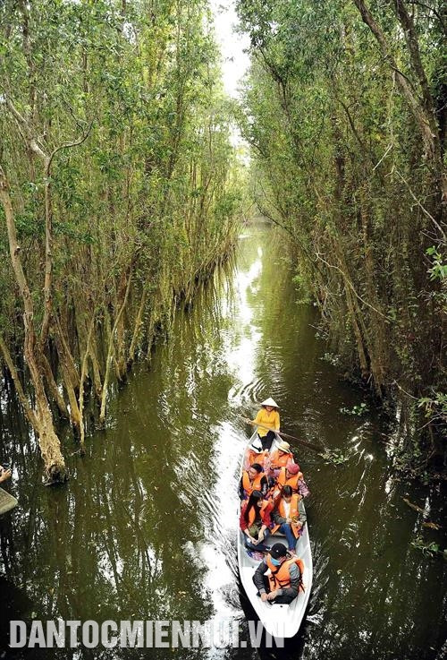 Du khách tham quan rừng tràm ngập nước tại Khu du lịch làng nổi Tân Lập, huyện Mộc Hóa (Long An).