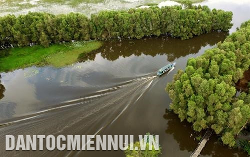 Một góc Tràm Chim (Đồng Tháp) nhìn từ trên cao với hệ sinh thái ngập nước đặc trưng của vùng Đồng Tháp Mười.