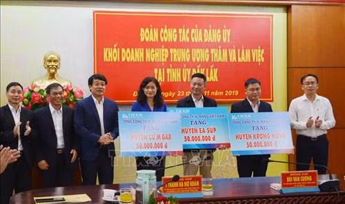Tổng Công ty Xi măng Việt Nam tặng 4.000 tấn xi măng và 150 triệu đồng cho 3 huyện Krông Năng, Cư M’Gar, Ea Súp. Ảnh: Hoài Thu – TTXVN.