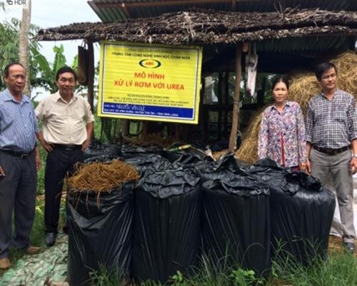 Sản phẩm rơm cuộn sau khi ủ. Ảnh: khuyennongvn.gov.vn Sản phẩm rơm cuộn sau khi ủ. Ảnh: khuyennongvn.gov.vn